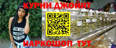 мет Кингисепп