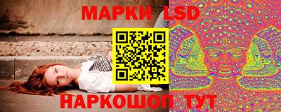 мет Кингисепп