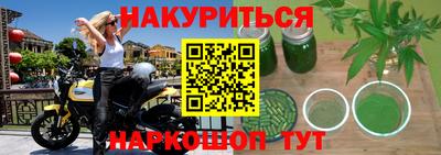 мет Кингисепп