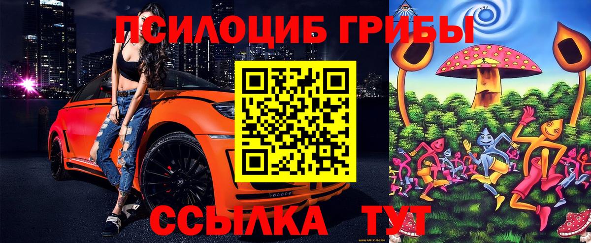 Псилоцибиновые грибы Psilocybine cubensis Корсаков