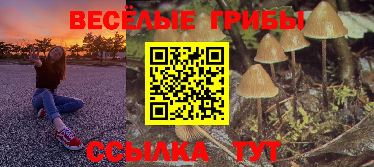 Галлюциногенные грибы MAGIC MUSHROOMS  купить наркоту  Корсаков  Галлюциногенные грибы Magic Shrooms  Вход с VPN 